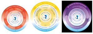 IB Primary Years Programme