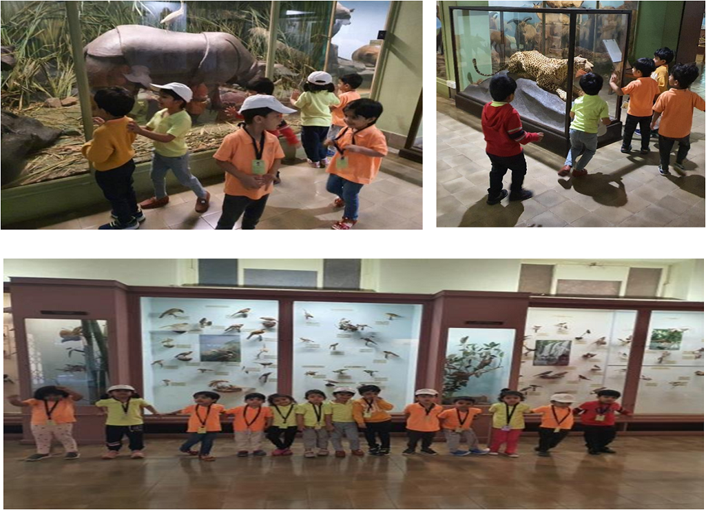 The Prince of Wales Museum