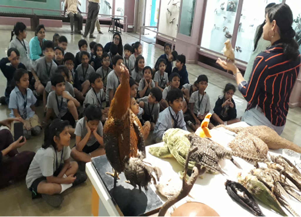 Grade 1 Chhatrapati Shivaji Maharaj Vastu Sangrahalaya