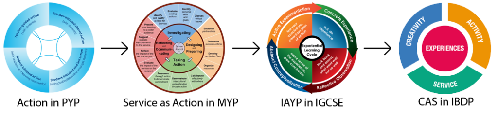 Holistic Learning Continuum