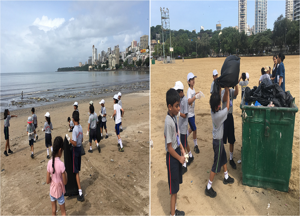 Grade 2 Beach Clean Up