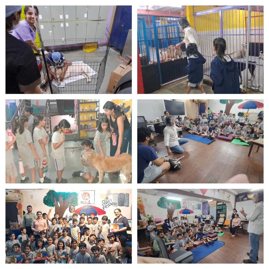 Grade 3 Taking Action