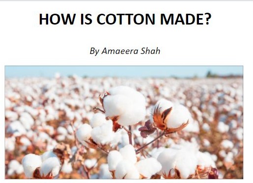 How is cotton made - cotton field