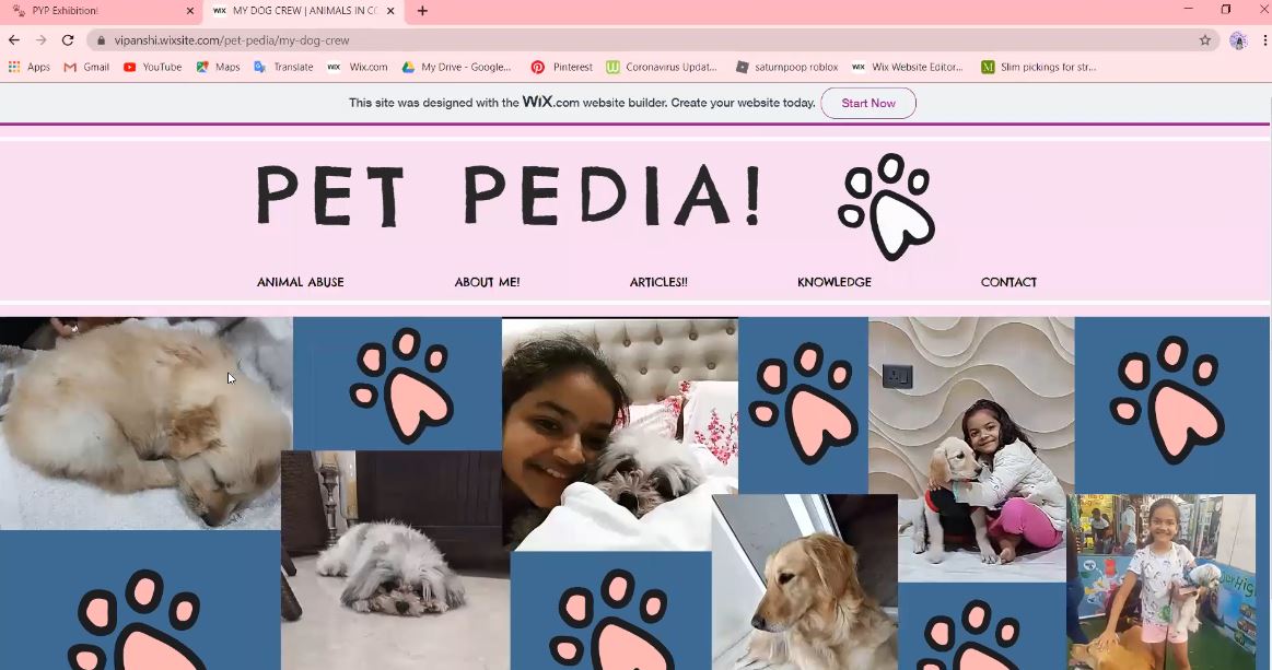 Pet Pedia - Vipanshi's website banner