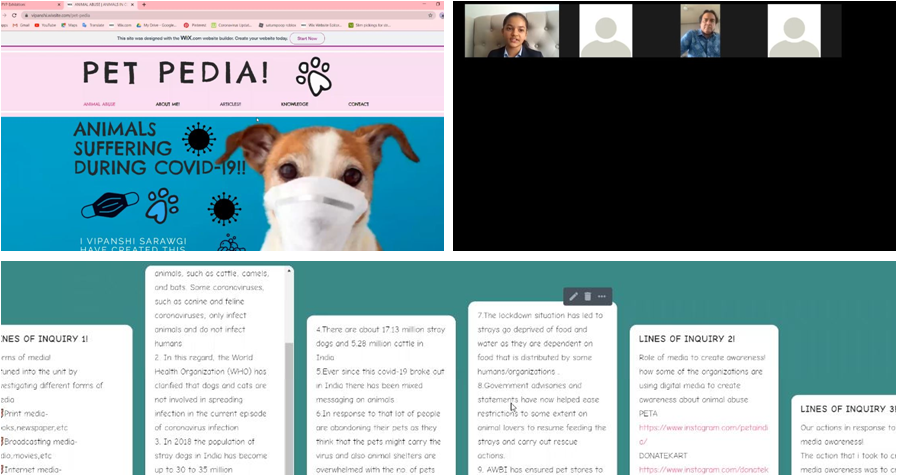 Animals Suffering During COVID-19 - lines of inquiry slide
